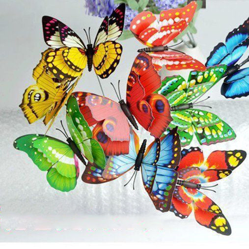 Simulation Stereo Garden Butterfly