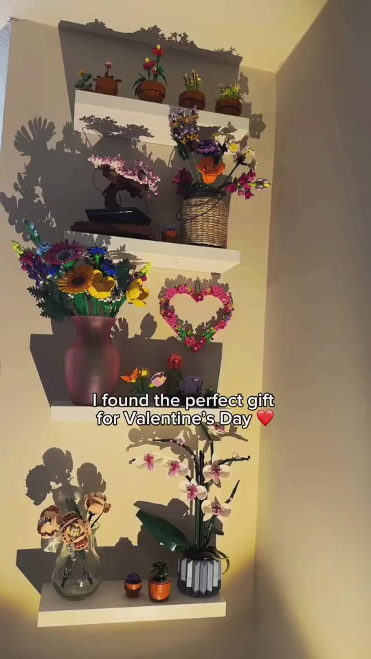 1.mp4