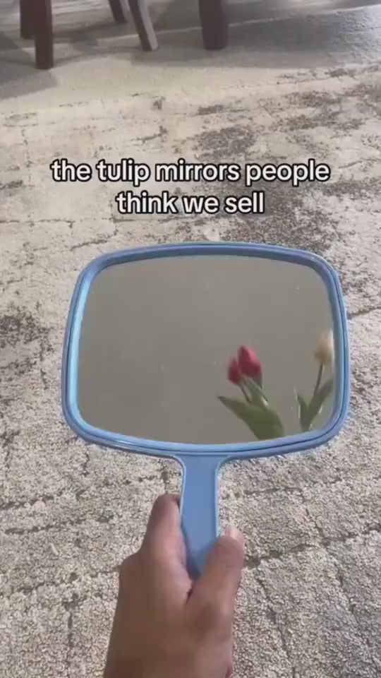 1.mp4